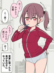 Hisashiburi ni Jikka ni Kaettara Otouto ga TS Shiteta
