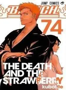 Bleach