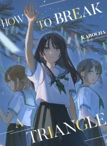 Sankakkei no Kowashi-kata