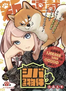 Shiba-Tsuki Bukken
