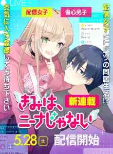 Kimi wa, Nina Janai