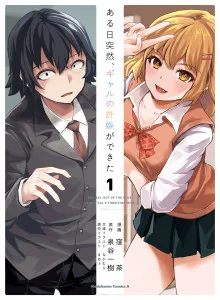 Aru Hi, Totsuzen Gyaru no Iinazuke ga Dekita